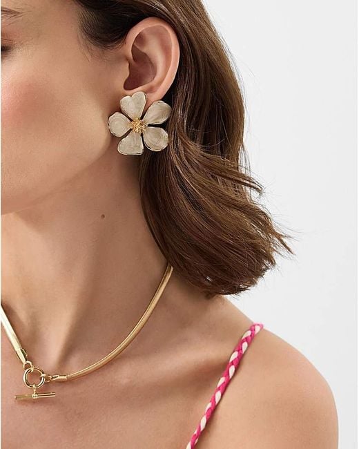 Accessorize Natural Flower Stud Earrings