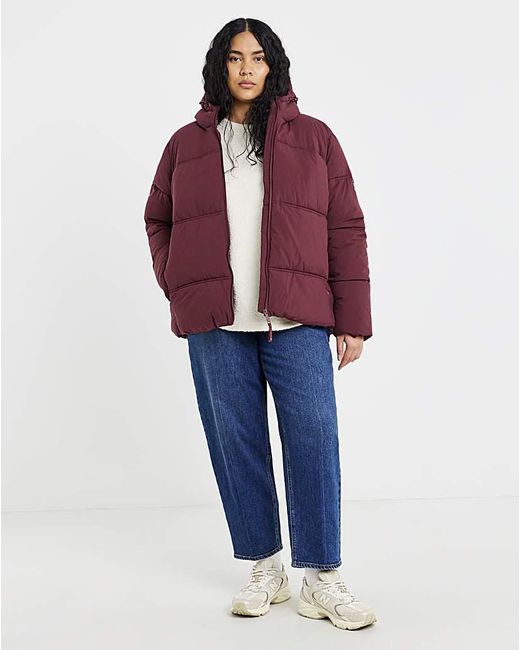 Regatta Purple Roxienne Coat
