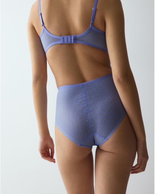 Triumph Blue Signature Sheer Maxi Briefs