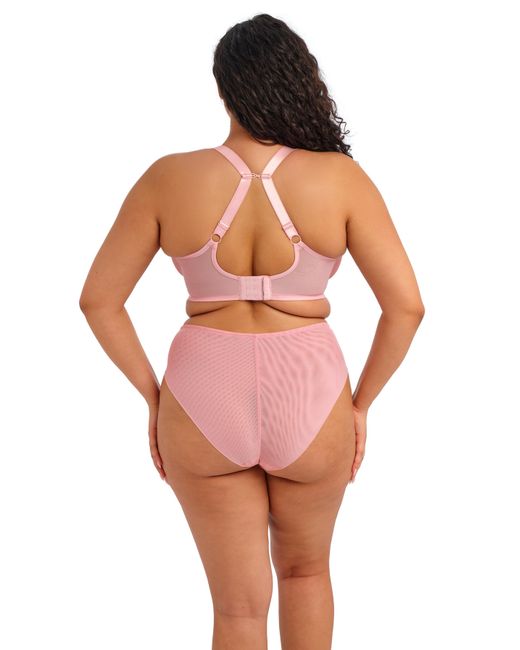 Elomi Pink Aerith Wired Plunge Bra