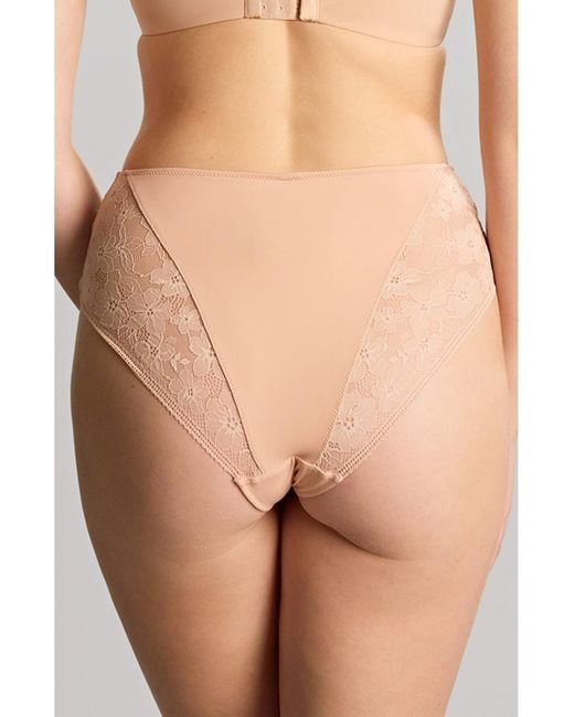 Panache Brown Celeste Deep Brief