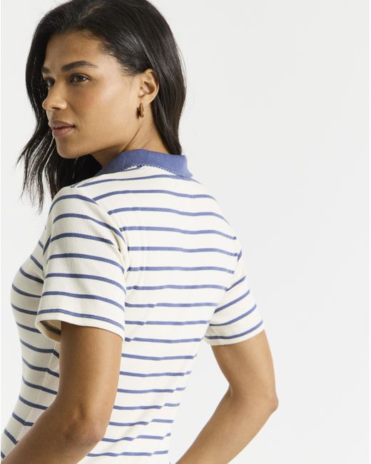 Simply Be Blue Ribbed Stripe Polo Top
