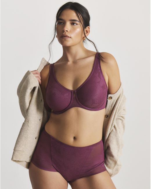 Triumph Purple Wild Rose Sensation Maxi
