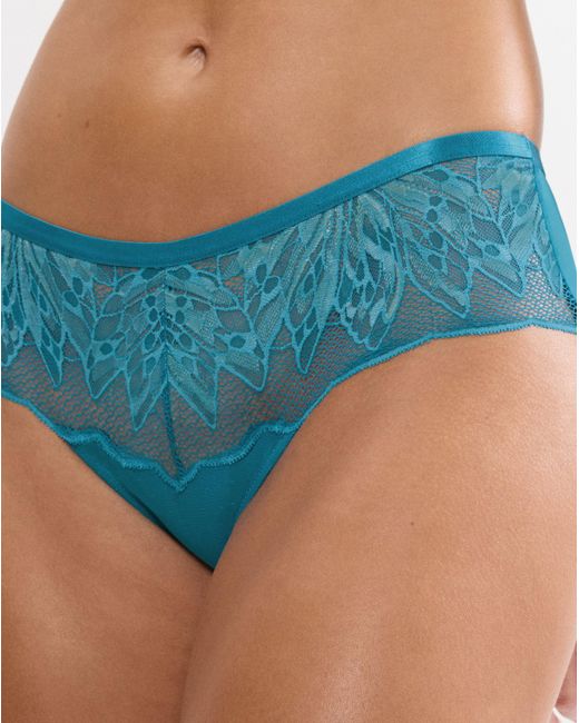 Triumph Blue Crazy Stupid Love Knicker