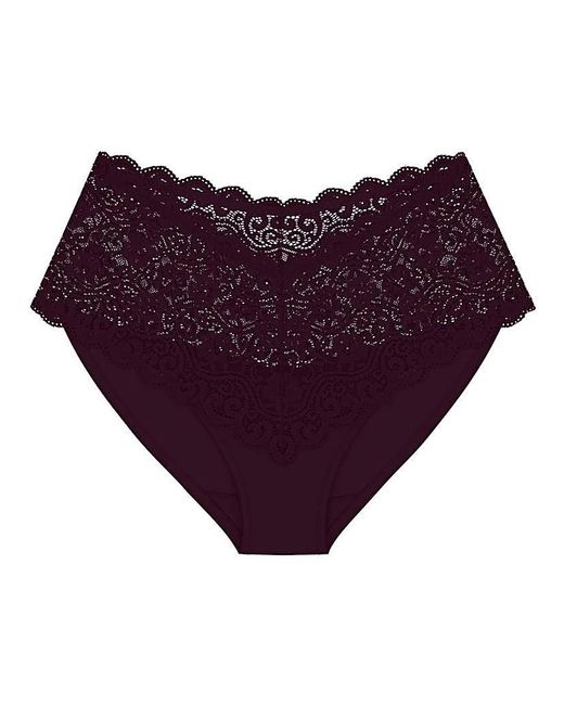 Triumph Purple Amourette Maxi Briefs
