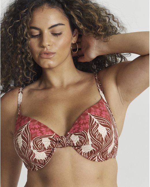 JD Williams Brown Underwired Bikini Top