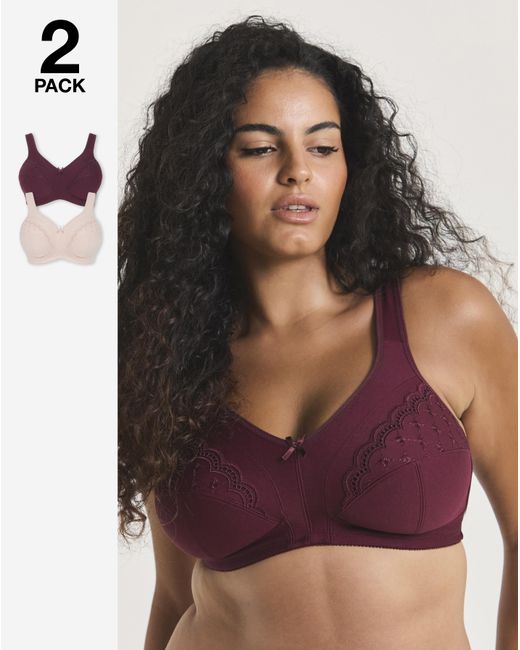 Pretty Secrets Multicolor 2 Pack Sally Minimiser Non Wired Bras