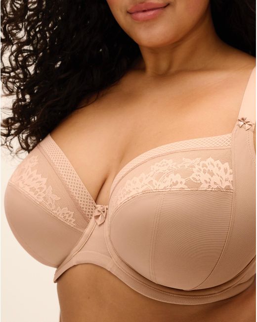 Elomi Brown Nerina Plunge Wired Bra