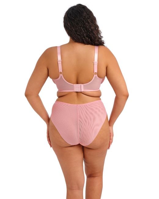 Elomi Pink Aerith Wired Plunge Bra