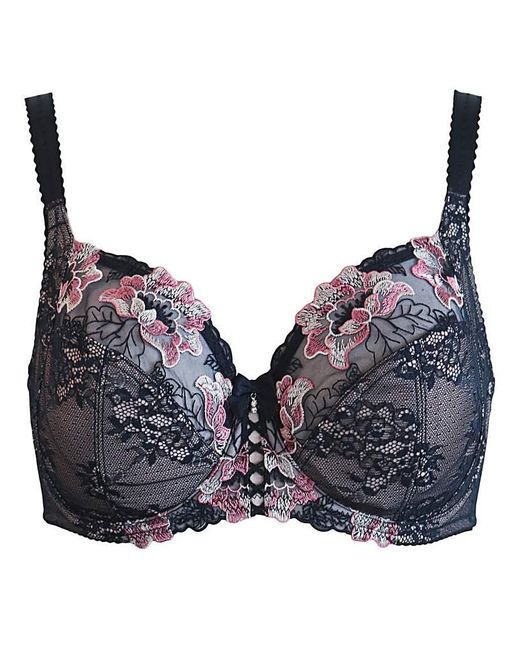 Pour Moi Blue Pour Moi Sofia Full Cup Bra Midnt/Rose