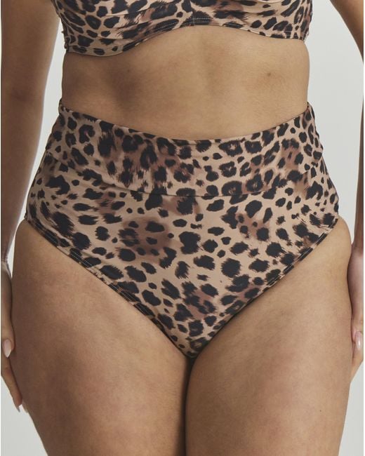 MAGISCULPT Brown Foldover Bikini Brief