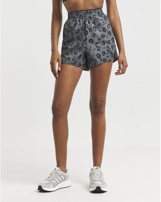 Adidas Multicolor Leopard Print Short