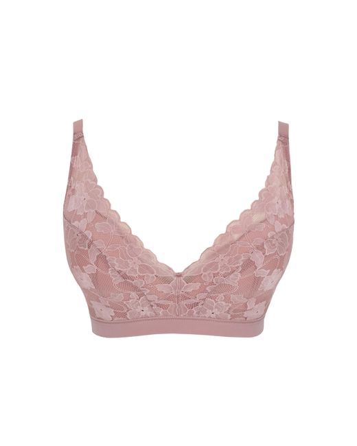 Panache Brown Amour Non Wired Soft Padded Bra