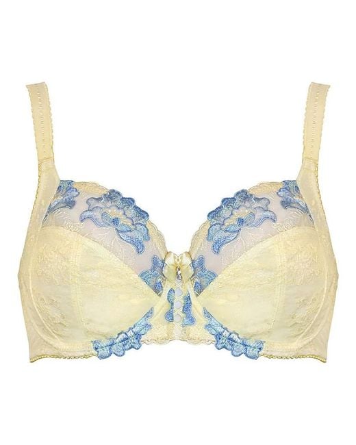 Pour Moi Brown Pour Moi Sofia Full Cup Bra Lemon/Blu