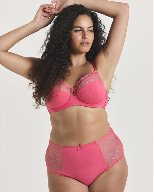 Pretty Secrets Pink 2 Pack Rachel Embroidery Deep Brief
