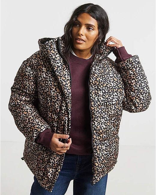 Simply Be Blue Print Padded Coat With Hood