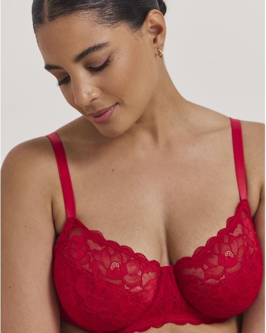 Pretty Secrets Ivy Basic Lace Full Cup Wired Bra
