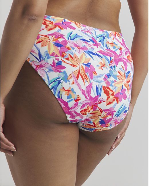 Elomi Brown Savaneta Mid Rise Bikini Brief