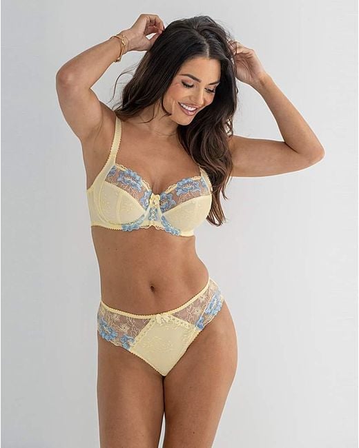 Pour Moi Brown Pour Moi Sofia Full Cup Bra Lemon/Blu