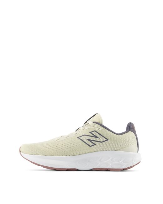 New Balance White 520 Trainers