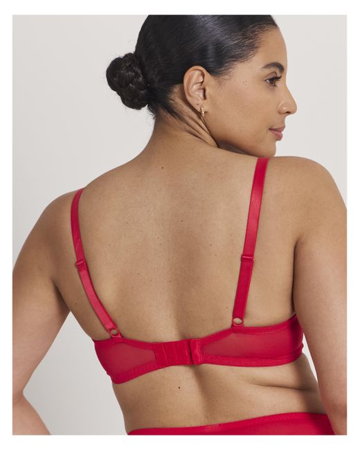 Pretty Secrets Ivy Basic Lace Full Cup Wired Bra