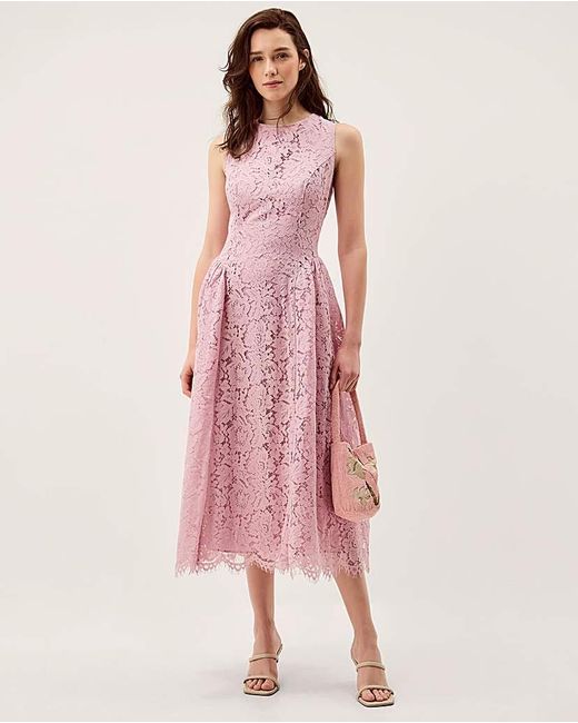 Monsoon Pink Lydia Sleeveless Lace Midi Dress