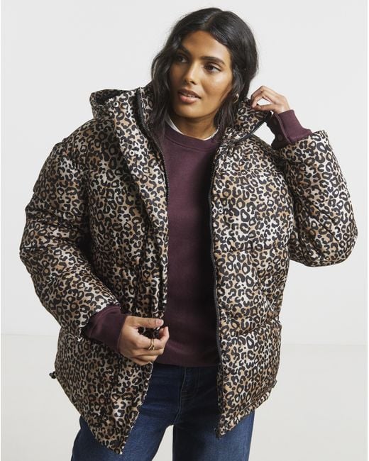 Simply Be Blue Print Padded Coat With Hood