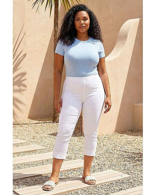 Roman Curve Blue Cropped Stretch Trouser