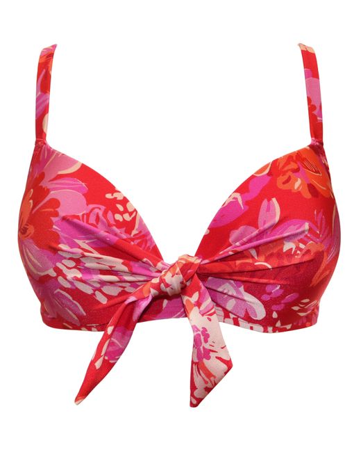 Pour Moi Casablanca Underwired Front Tie Top