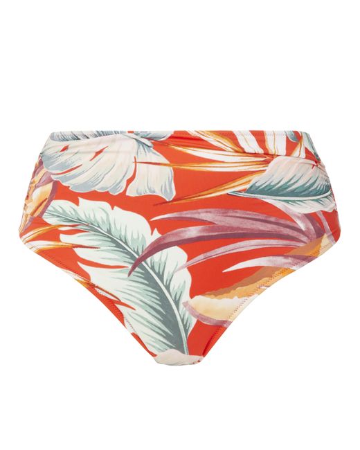 Fantasie Red Bamboo Grove Full Bikini Brief
