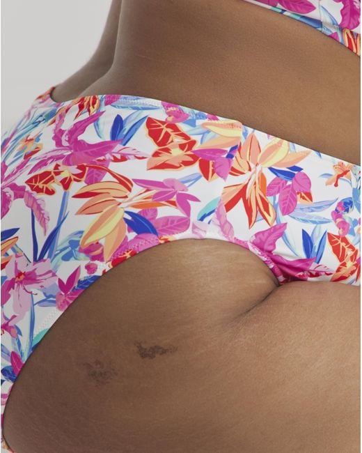 Elomi Brown Savaneta Mid Rise Bikini Brief