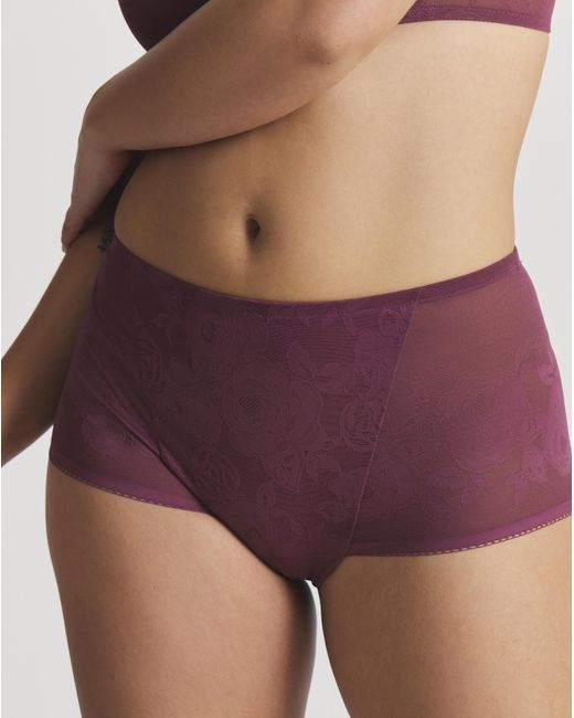 Triumph Purple Wild Rose Sensation Maxi