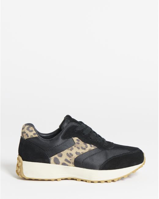 Simply Be Blue Retro Runner Trainer Ex Wide Fit