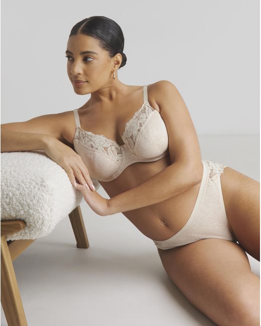 Pretty Secrets Brown 3 Pack Lace Full Cup Bras