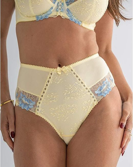 Pour Moi Brown Pour Moi Sofia Deep Knicker