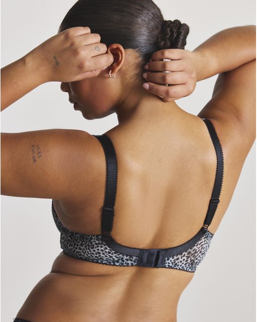 Fantasie Orange Lindsay Full Cup Wired Bra Mono