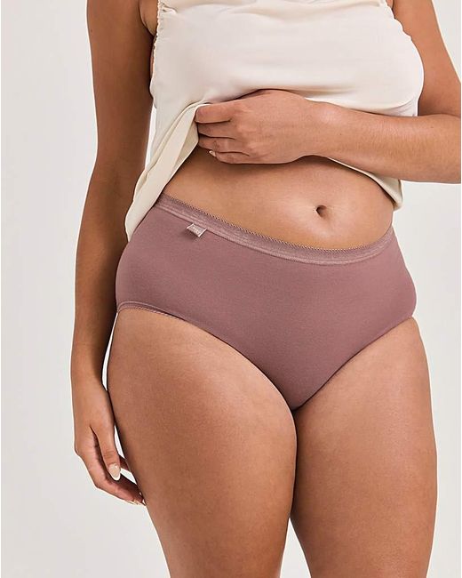 Sloggi Pink 3Pk Basic Midi Knicker Cocoa Mult