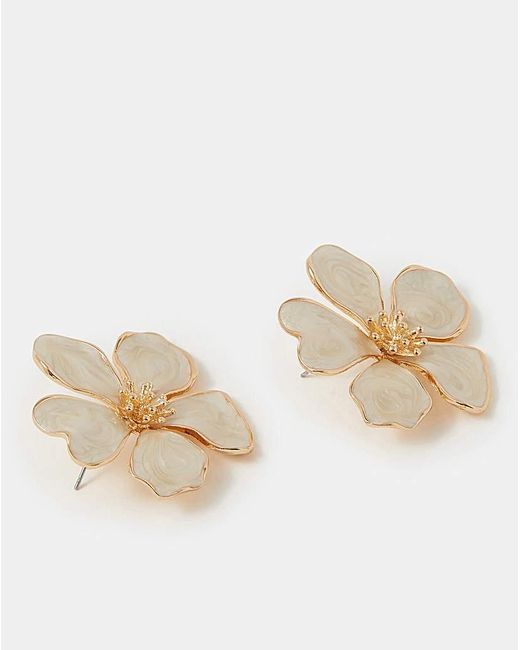 Accessorize Natural Flower Stud Earrings