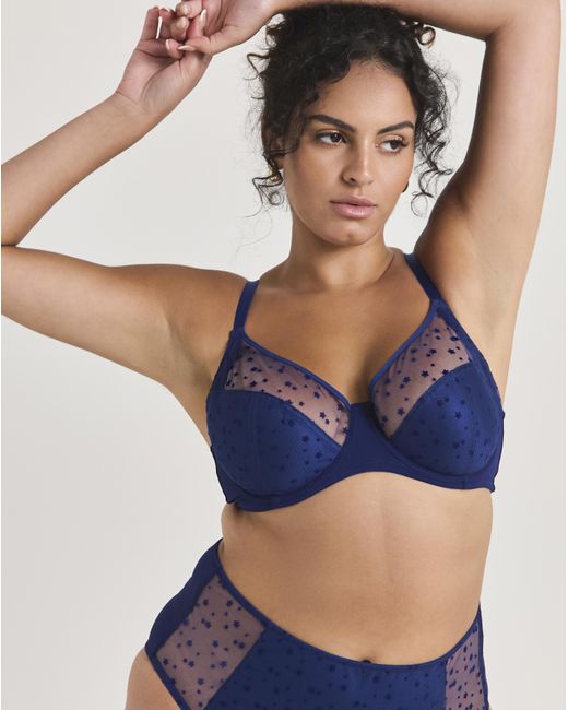 Pretty Secrets Blue 2 Pack Hannah Full Cup Bras