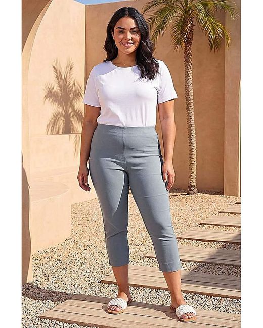 Roman Curve Blue Cropped Stretch Trouser
