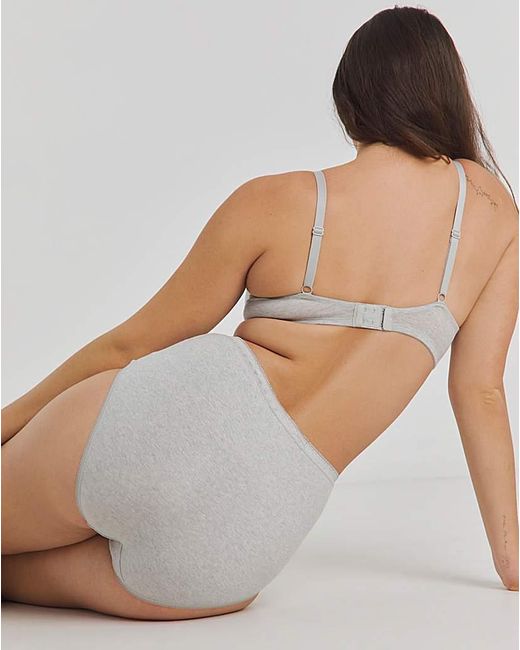 Slimma Gray 4 Pack Full Briefs