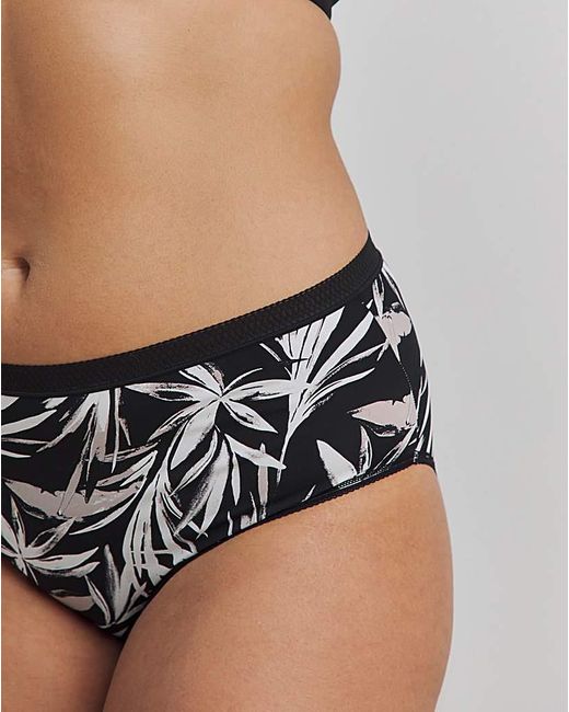 Pretty Secrets Multicolor 5 Pack Micro Midi Briefs