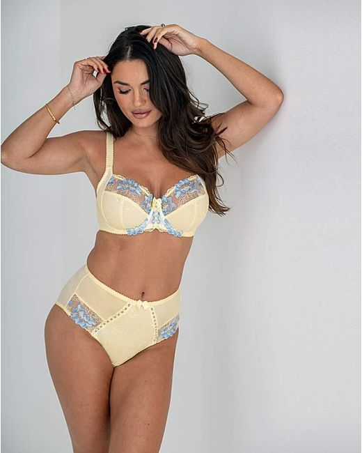 Pour Moi Brown Pour Moi Sofia Deep Knicker