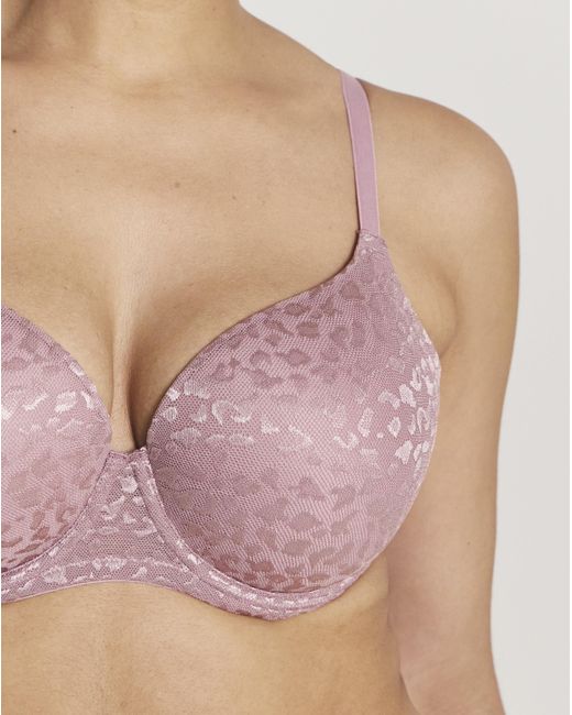 Pretty Secrets Multicolor 3 Pack Animal Lace T-Shirt Bras