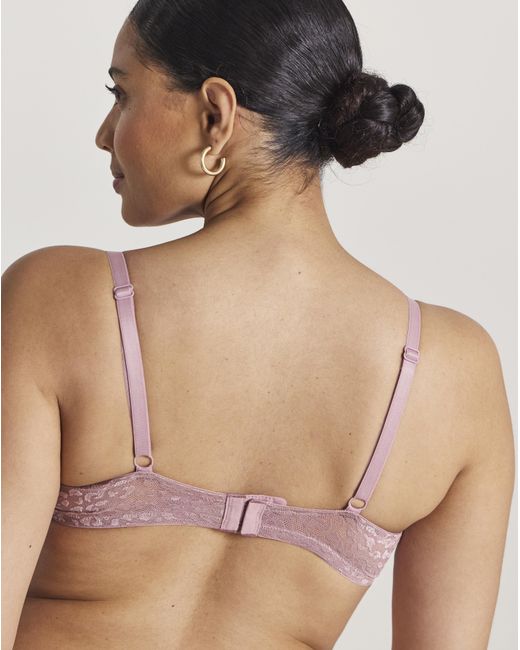 Pretty Secrets Multicolor 3 Pack Animal Lace T-Shirt Bras