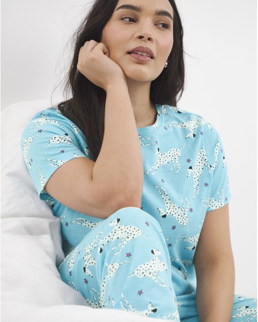 Pretty Secrets Blue Value Dog Pyjama Set