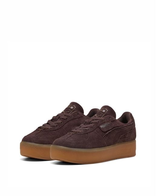 PUMA Brown Palermo Elevata Suede Trainers