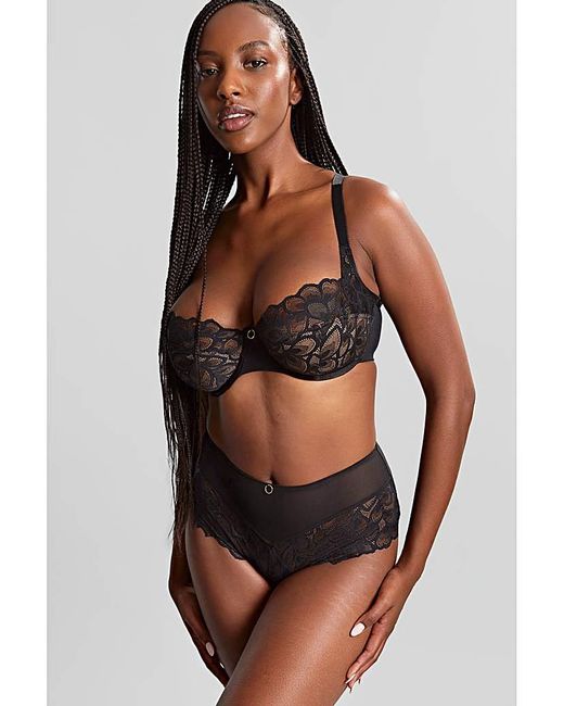Panache Multicolor Pananche Allure Deep Brief