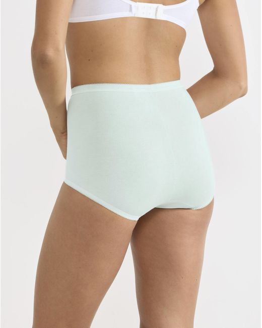 Sloggi Blue 6Pk Basic Maxi Briefs Mint Multi