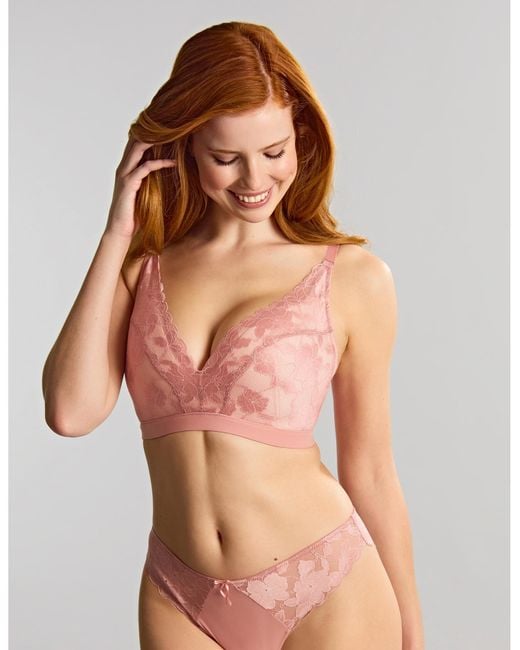 Panache Brown Amour Non Wired Soft Padded Bra